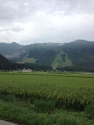 愛知学院大学剣道部夏季合宿