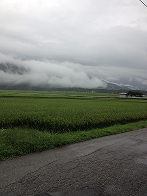 愛知学院大学剣道部夏季合宿