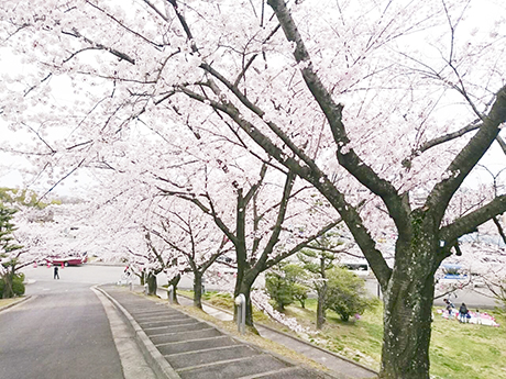 愛知学院大学剣道部