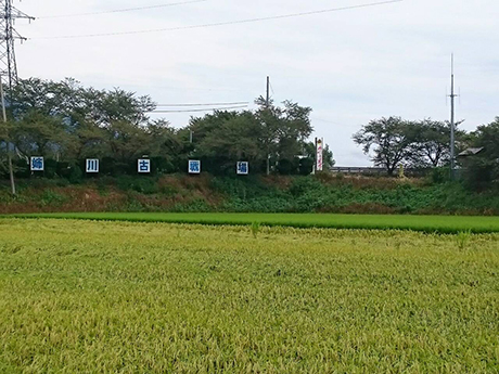 愛知学院大学剣道部