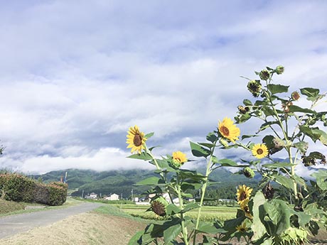 愛知学院大学剣道部